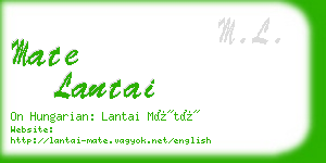 mate lantai business card